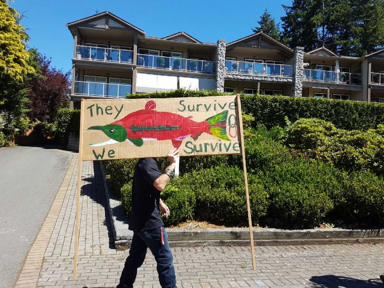 Community gathers for anti-fish farm rally in Comox