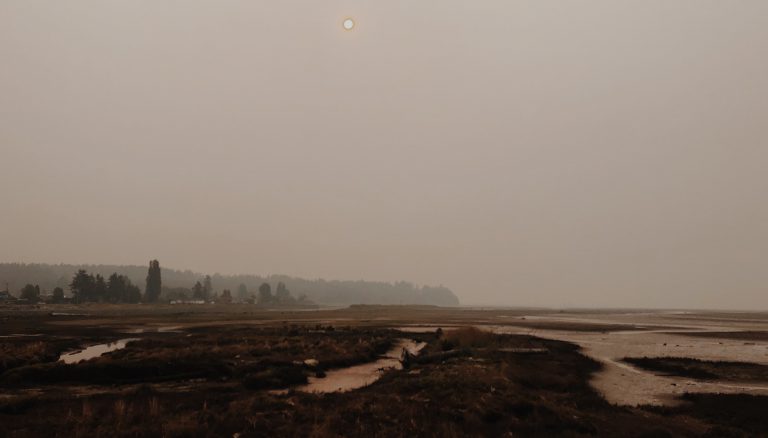 Smoke grounds Hornby Island air ambulance