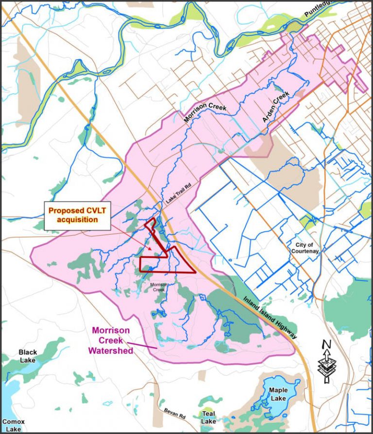 Comox Valley Land Trust fundraising to preserve Morrison Creek