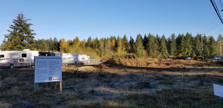 Construction underway on cannabis breeding centre in Comox