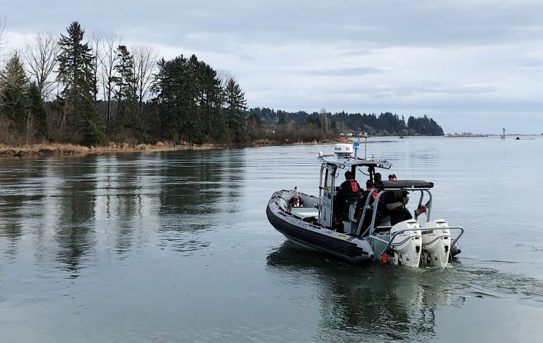 Whale to be guided out of river: DFO