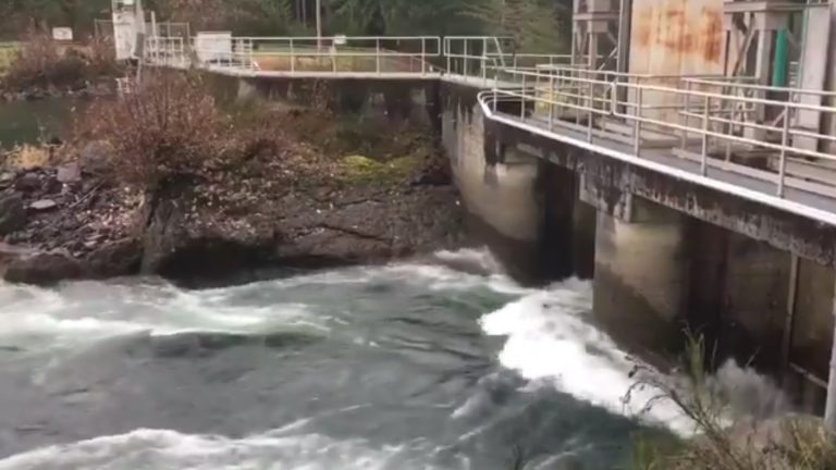 Higher Puntledge River flows expected Thursday due to testing