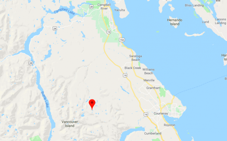 Three people and a dog stranded in Strathcona Park rescued by Comox Valley SAR