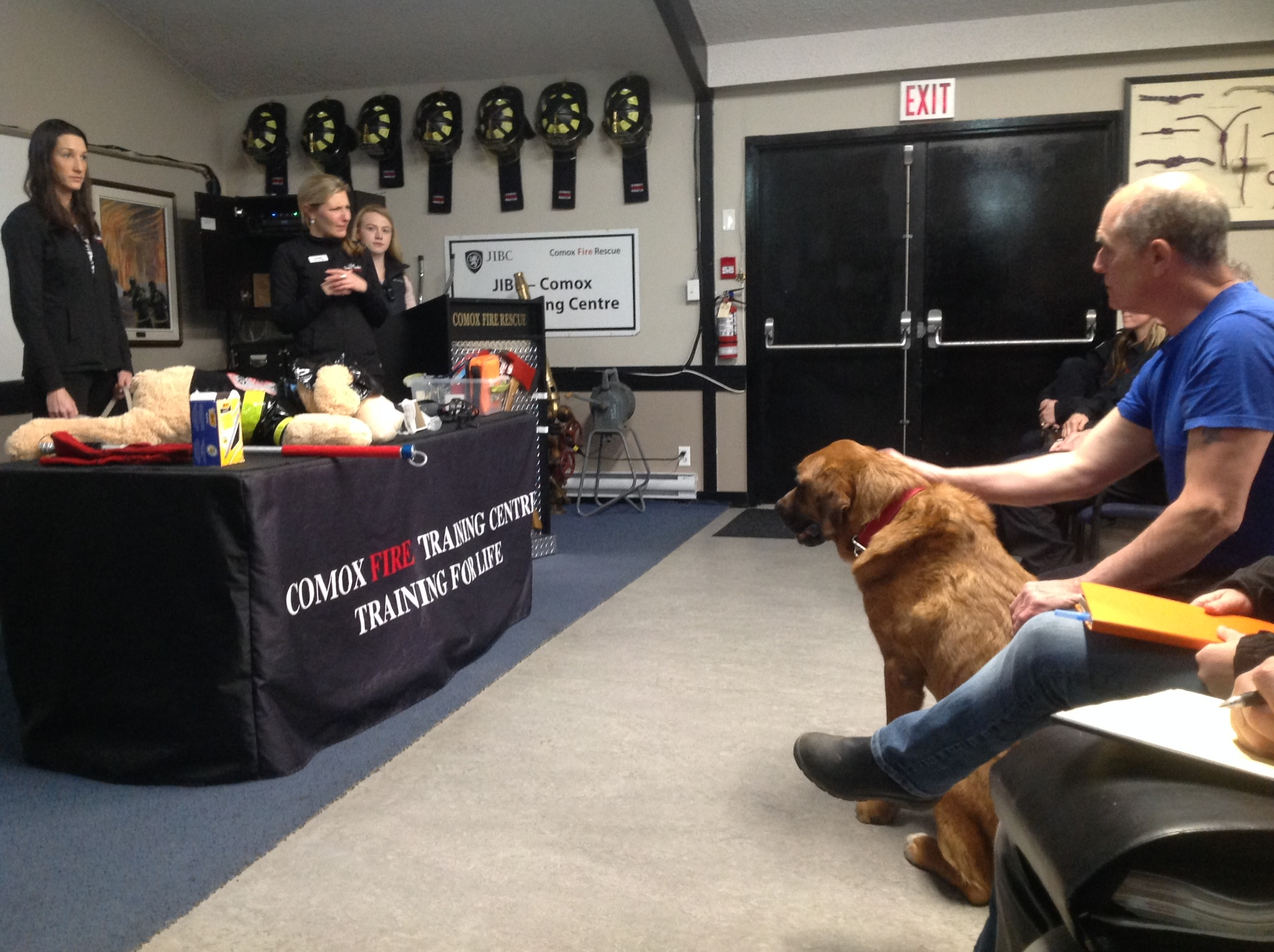 Firefighters Take First-aid Training For Pets - My Comox Valley Now