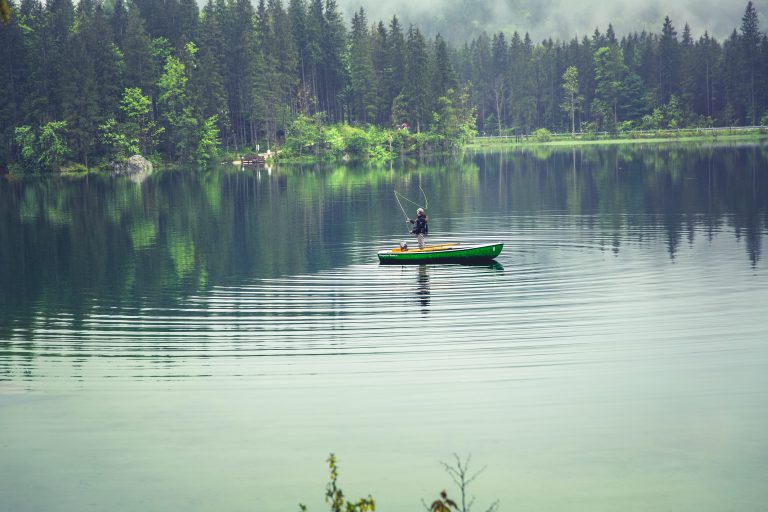 Clean, drain, and dry boats to prevent spreading invasive plants, mollusks