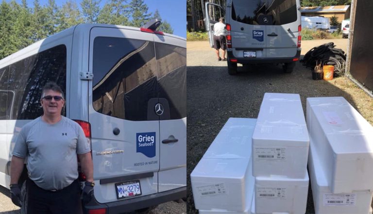 Grieg Seafood BC donates 50 salmon to MARS Wildlife Rescue Centre