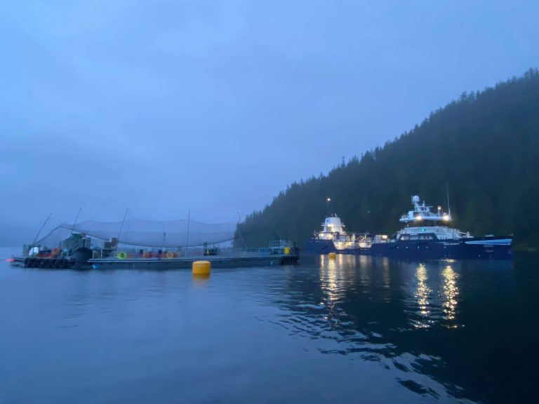 Cermaq Canada launches trial of new innovative system in B.C waters