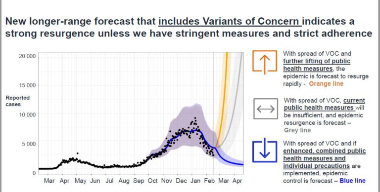 New federal COVID-19 modelling shows decline in cases, but concern with spread of variants