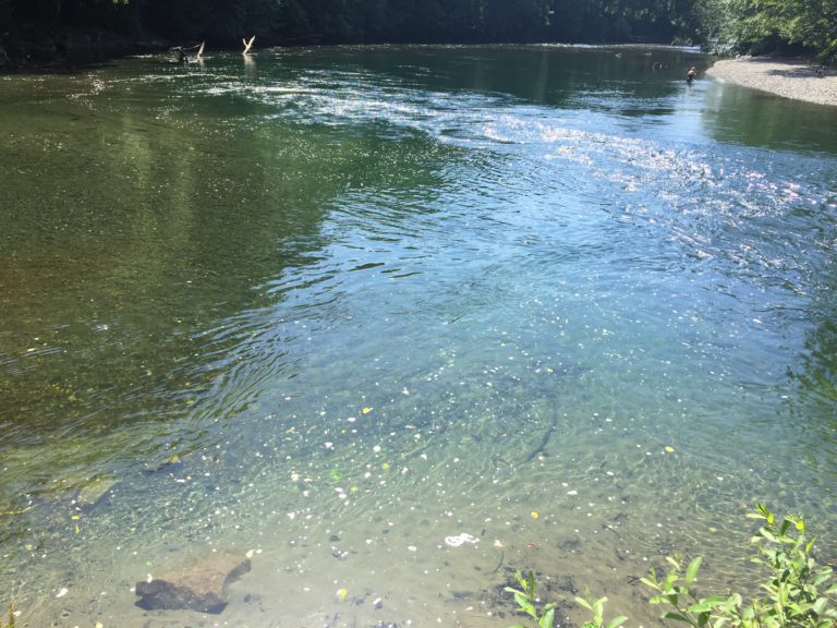 Puntledge River water levels to lower due to dry conditions