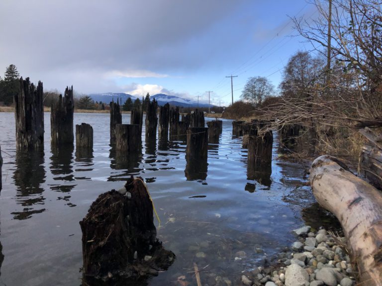 Comox Valley Regional District to offer flood risk training online