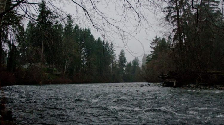 Increased water flows set for Puntledge River this week : My Comox Valley Now