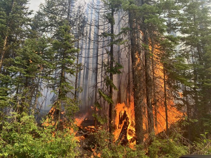 Wildfire season sees lower starts so far on Island and Coast