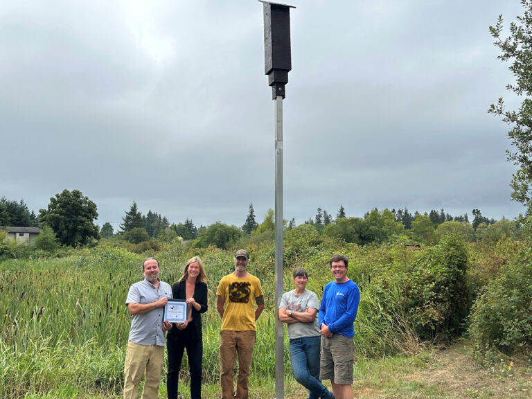 Town of Comox becomes Island’s first ‘bat friendly’ community