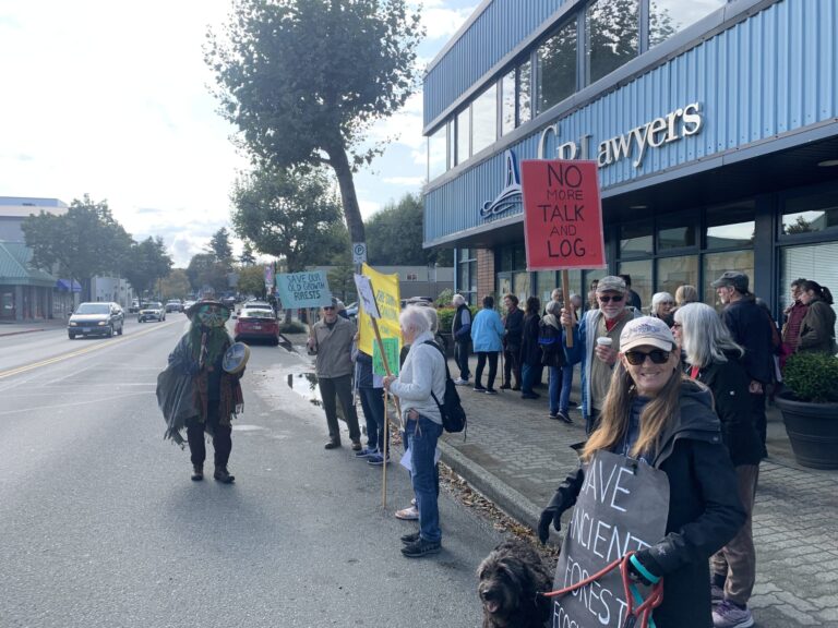 Demonstrators push government to move faster protecting old growth trees