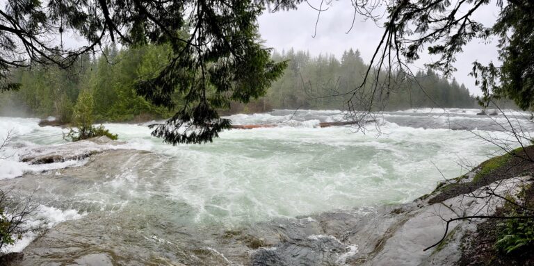 Public safety notice issued for certain parts of Puntledge River due to rising river flows