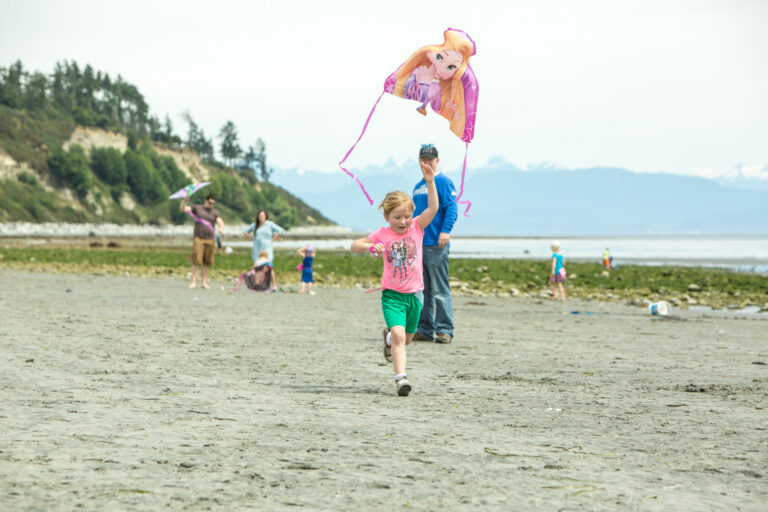 Kite Fly event set for this Father’s Day