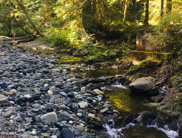 Green Party Leader Proposes Water Stewardship Councils at Pre-Campaign Stop in Courtenay