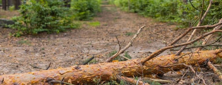 CVRD warning park users to use caution while visiting because of recent storms