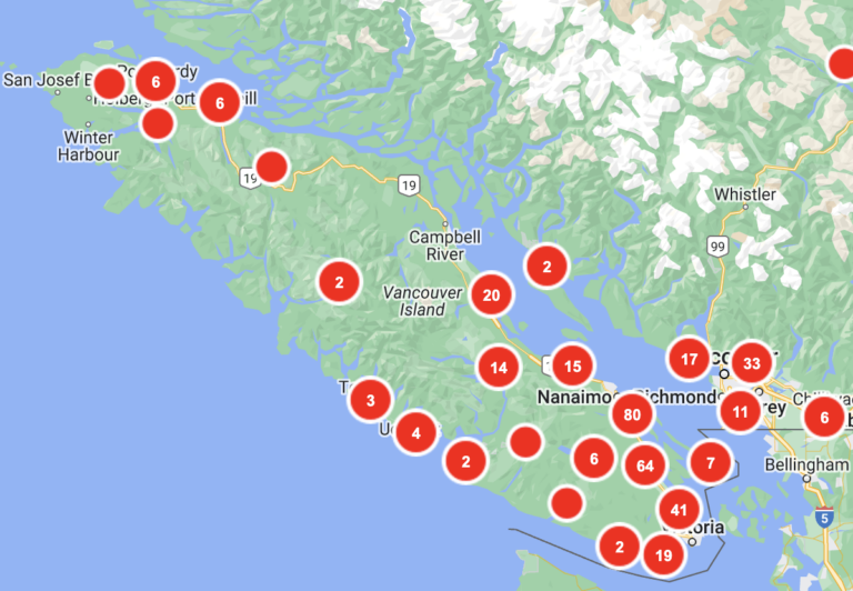 BC Hydro warns power outages caused by windstorm may last overnight