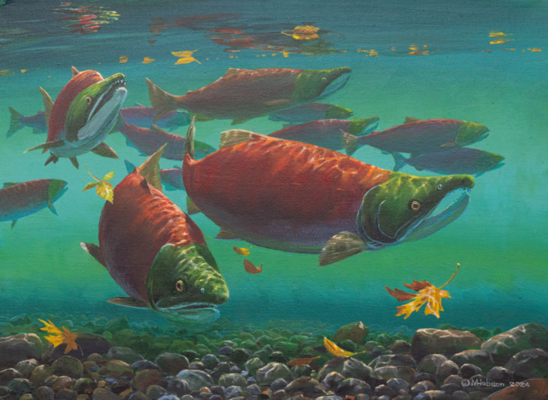 Island artist’s work ‘Red October’ featured on next year’s salmon stamp