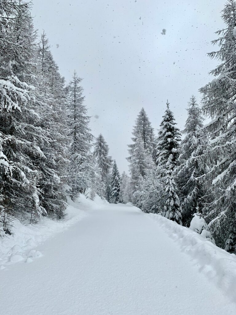 Heavy snow set for parts of Island and Coast today and Tuesday